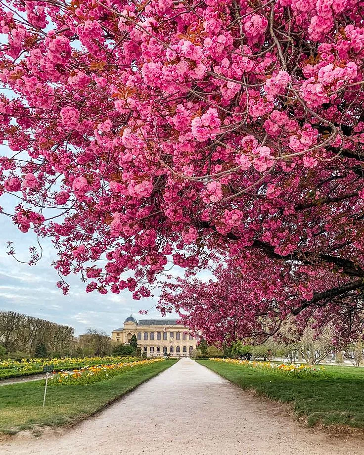 Jardin des Plantes