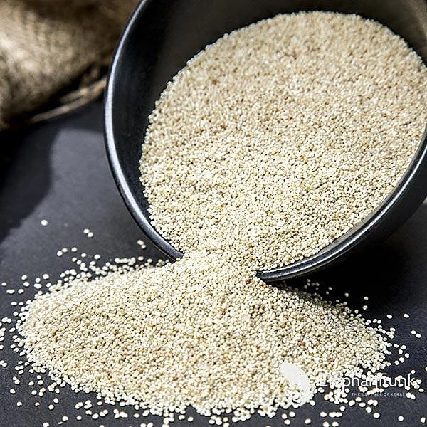 POPPY SEEDcbd60877 73d7 4a52 83f9 a84d6bf28ef3