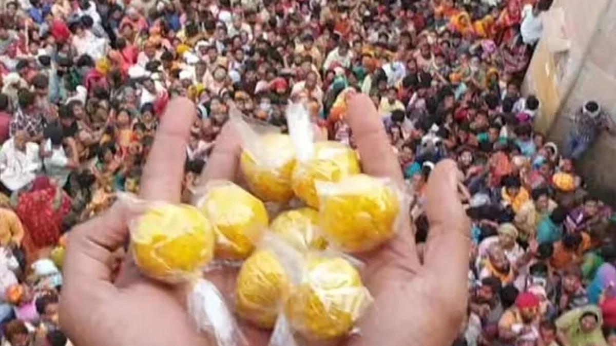 laddumarholi202417105952229701710595234905
