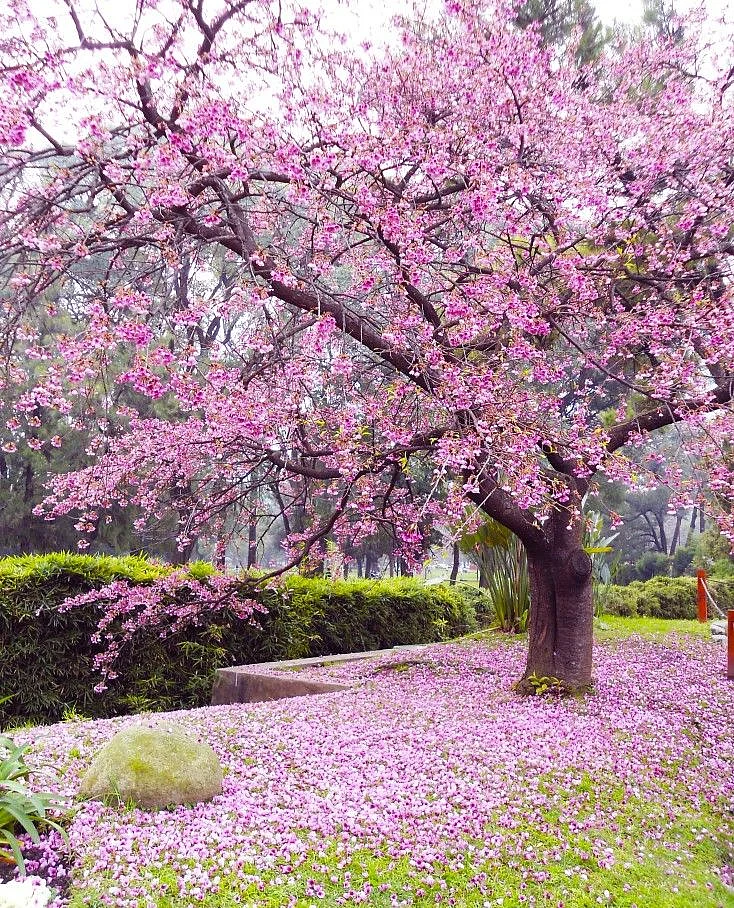 Yangmingshan National Park
