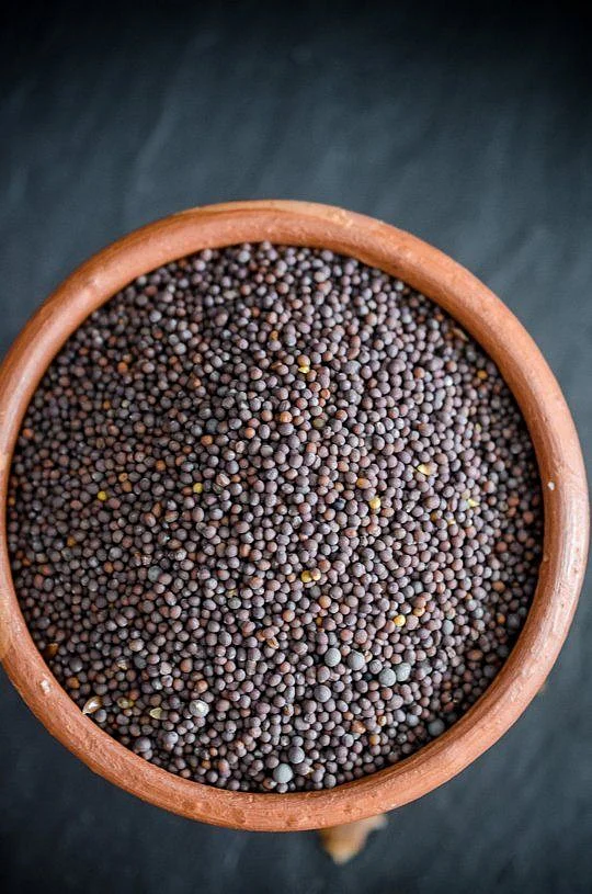 11 Essential Spices for Indian Cooking