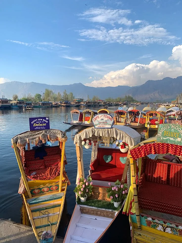 kashmir