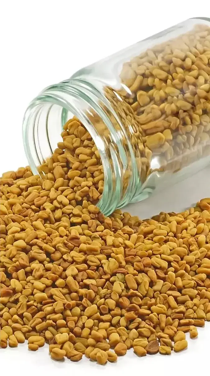 Fenugreek 3