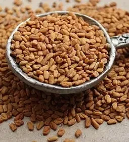Fenugreek