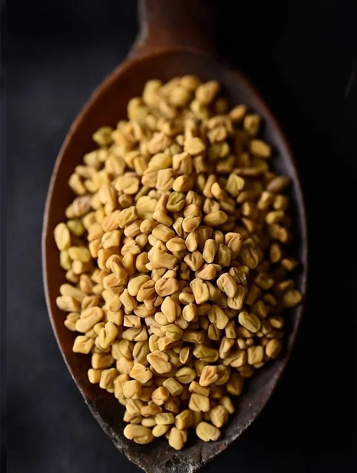 Fenugreek 2