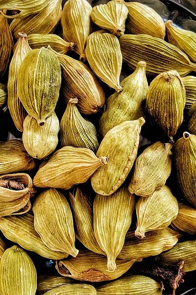 cardamom7