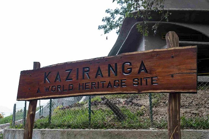 Kaziranga National Park
