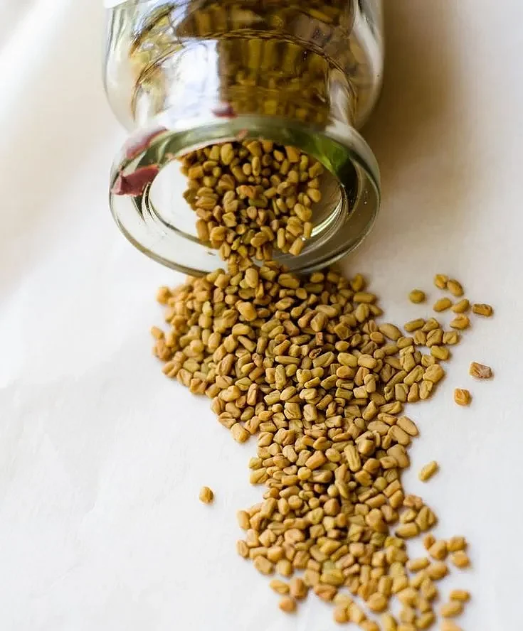Fenugreek 1