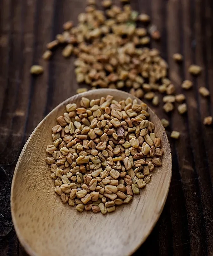 Fenugreek 5