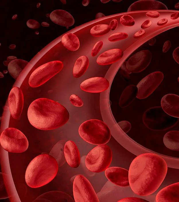 13 Effective Foods To Improve Blood Circulation In The Body