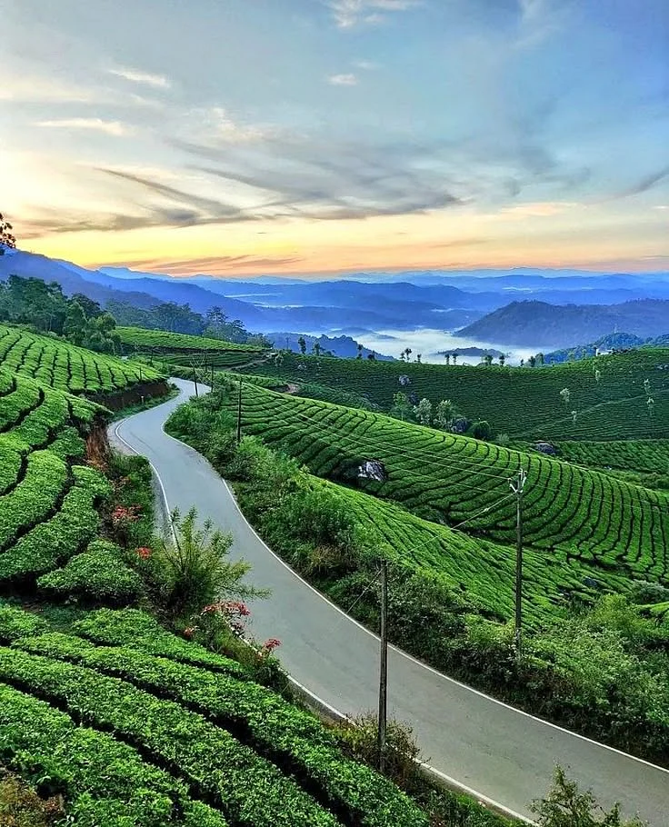 Munnar Town Kerala India 🇮🇳 2