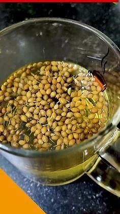 Coriander water