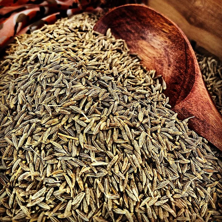 cumin seeds1