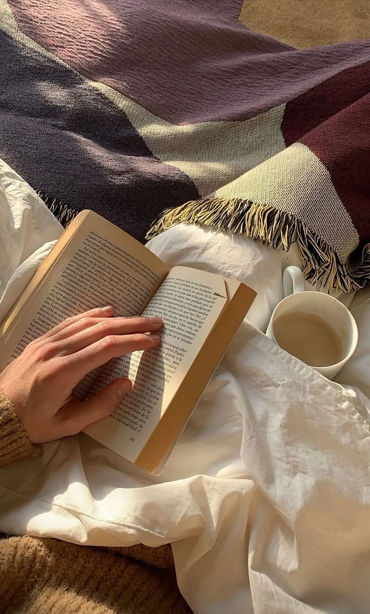 book 11