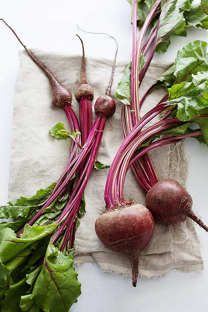 beetrootttt 4