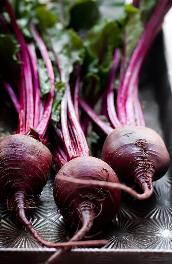 beetrootttt 3