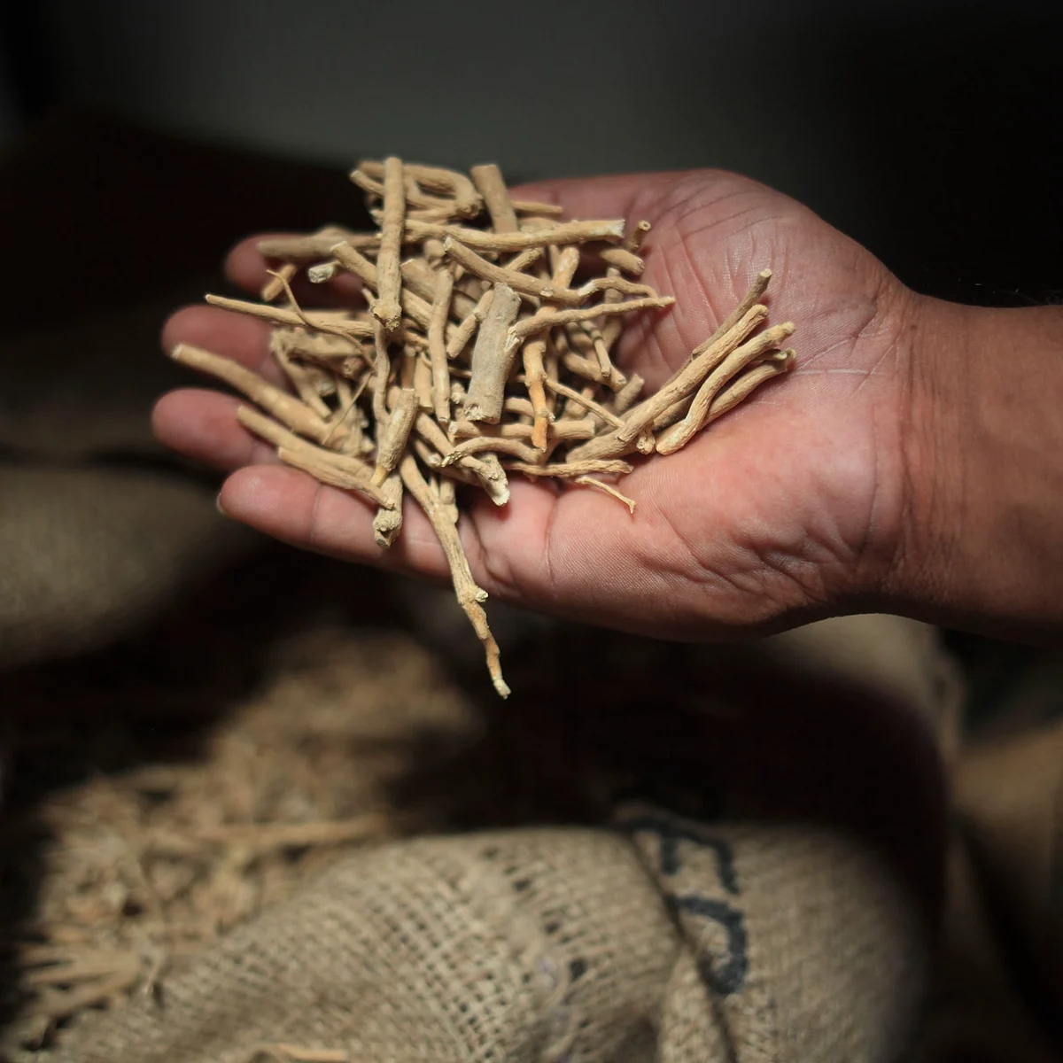 Ashwagandha 7