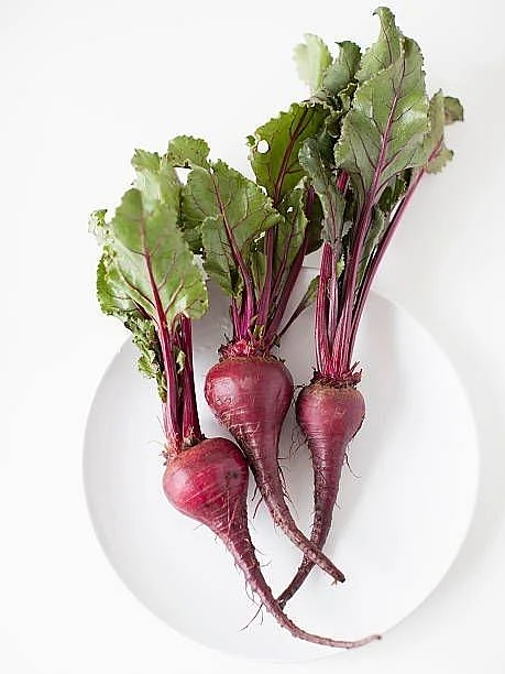 beetrootttt 2
