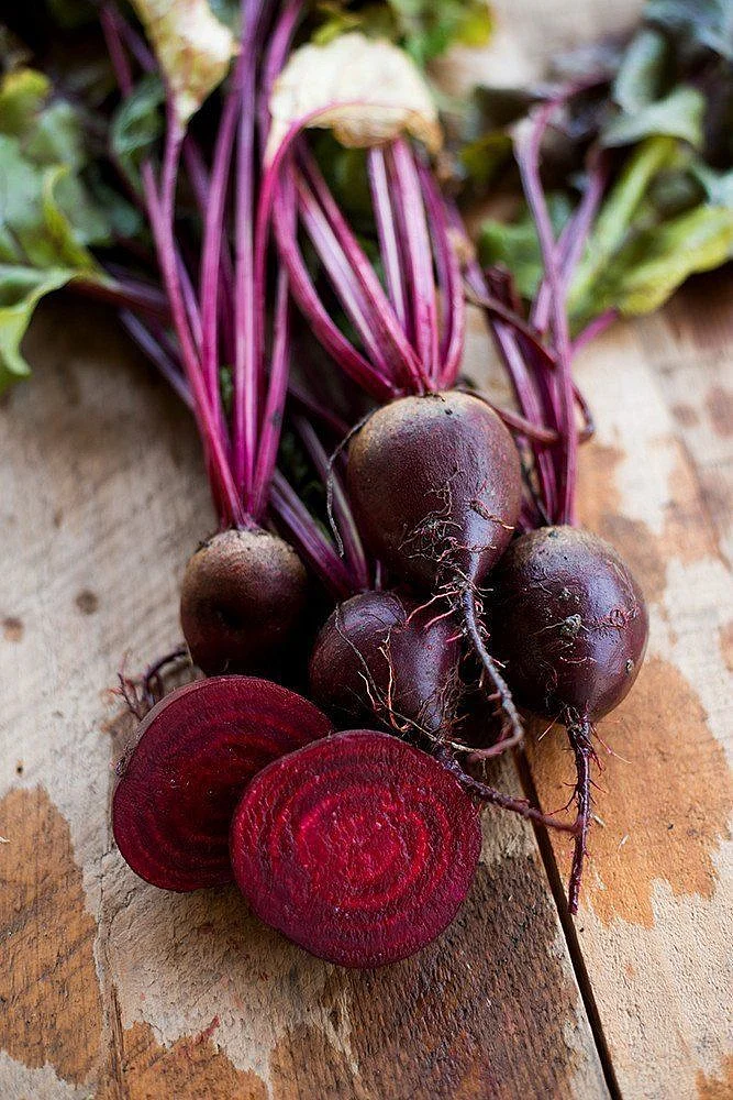 beetrootttt 1