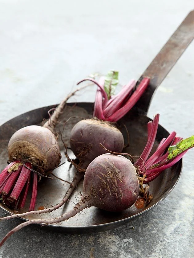 beetrootttt 7