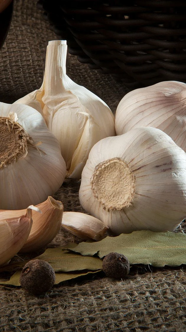garlic