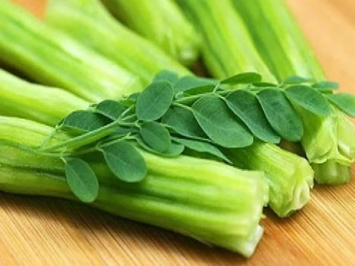 Sahjan 7