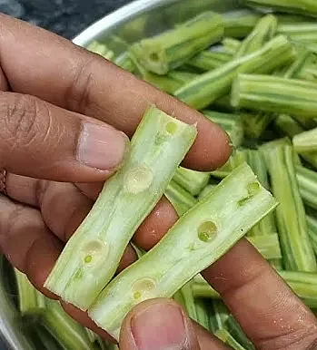 Sahjan 9