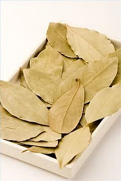 bay leaf.8