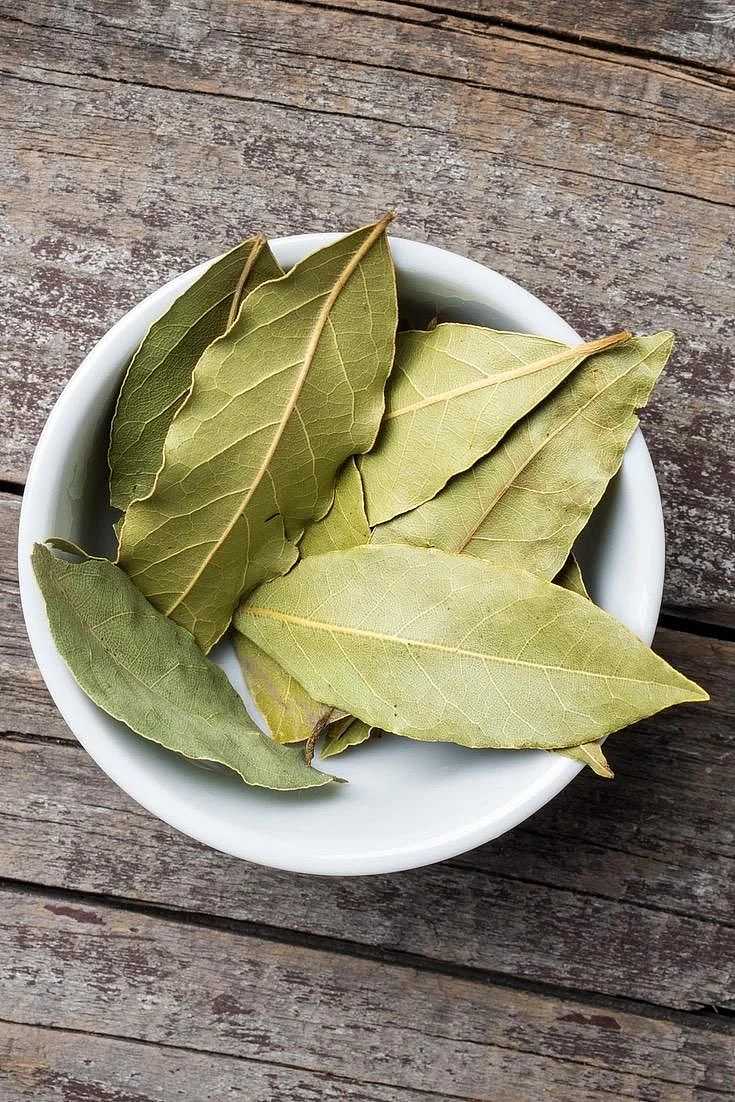 bay leaf