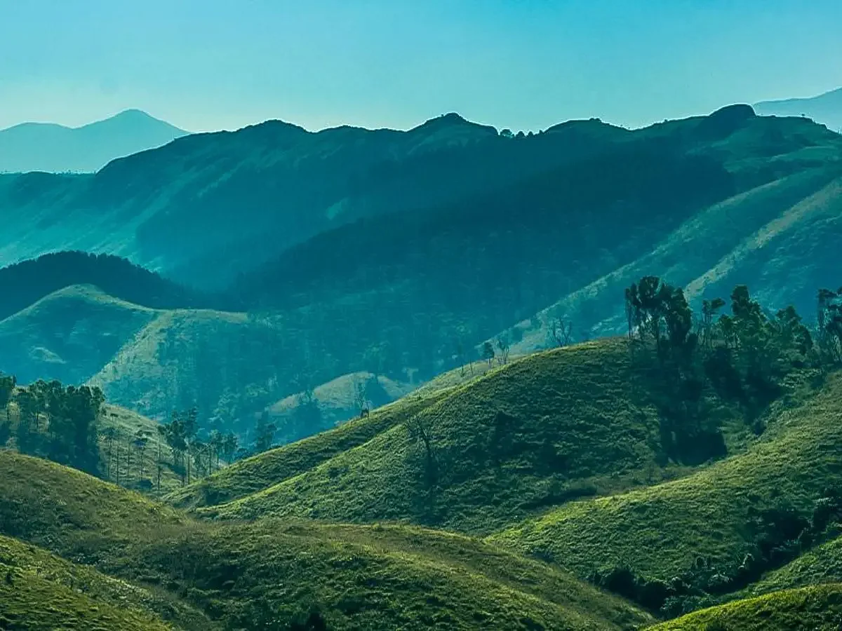 Vagamon
