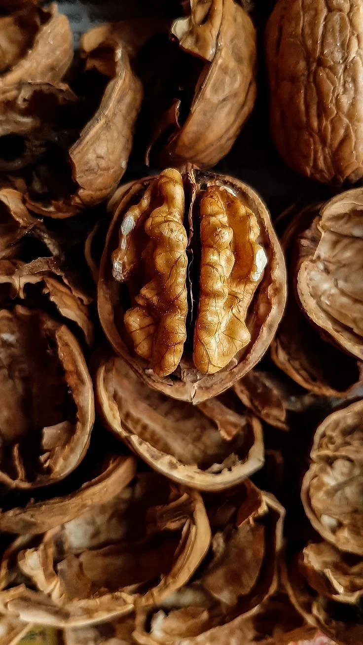 walnut