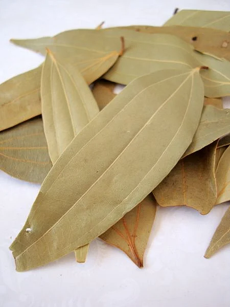 bay leaf.4