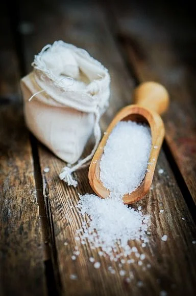 salt.6