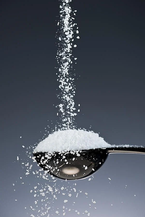 salt.4