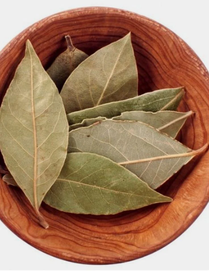 bay leaf.3