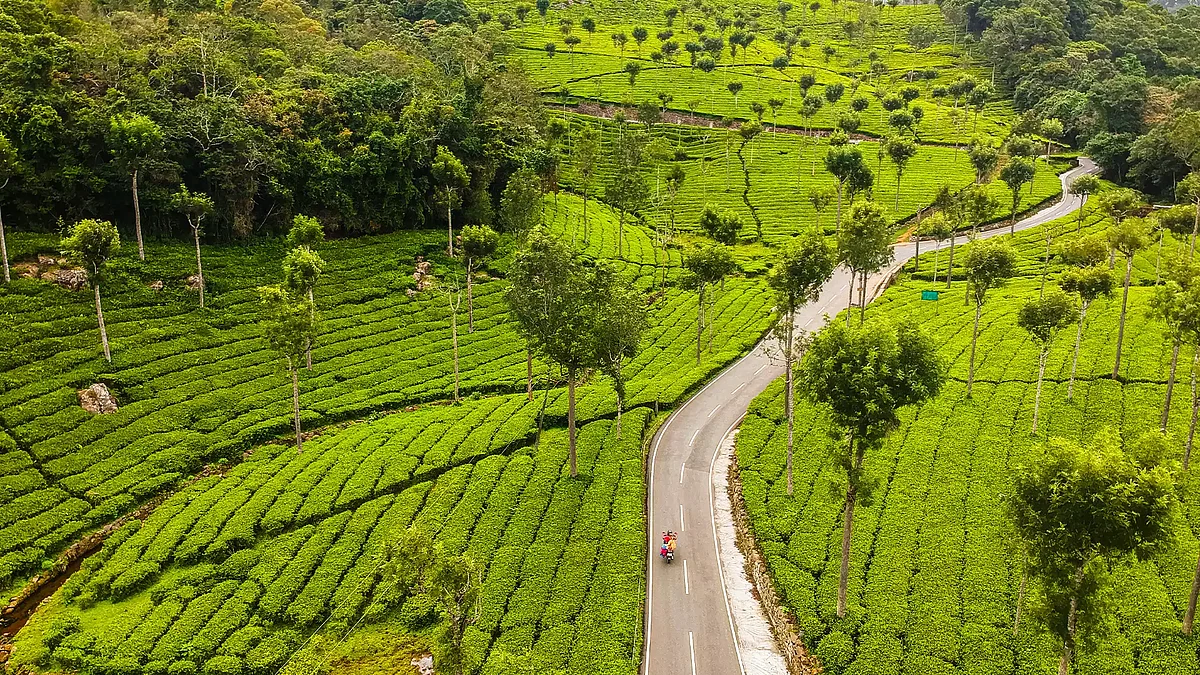 kotagiri