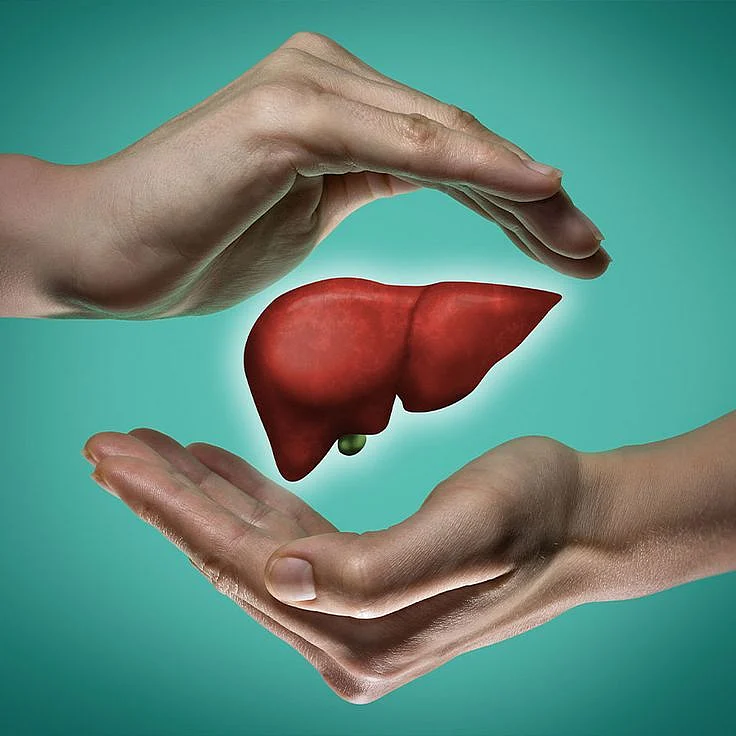 A Growing Health Concern The Causes and Treatments for Fatty Liver Disease