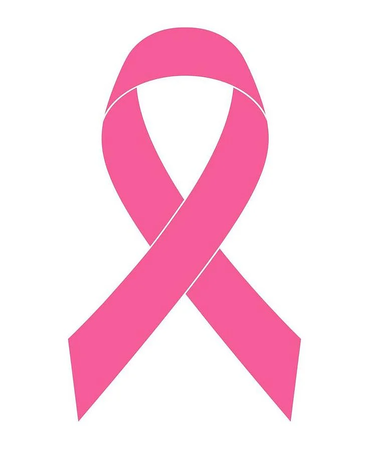 pink ribbon symbol of breast cancer disease vector illustration isolated on background