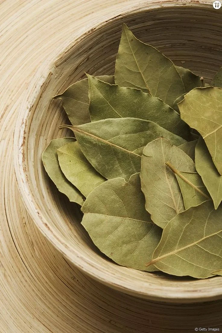 bay leaf.7