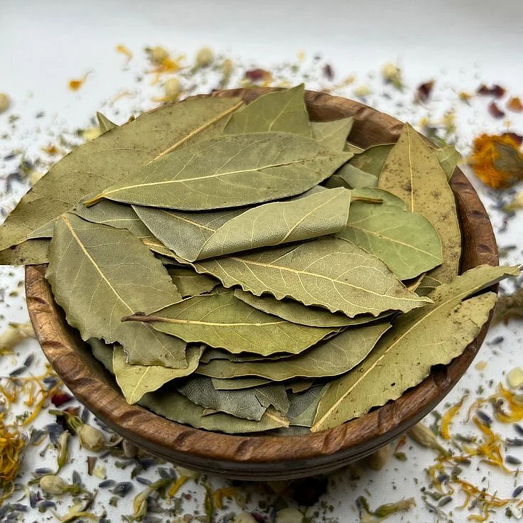 bay leaf.2