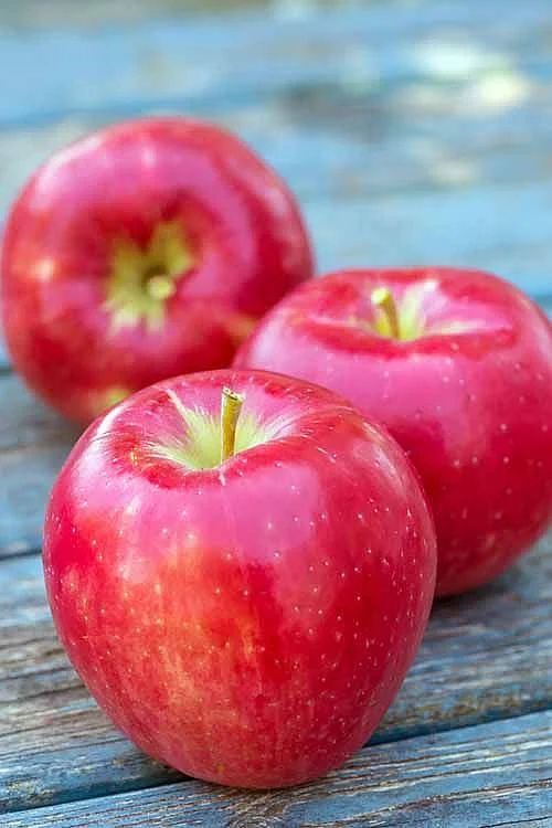 Foodal’s Guide to Choosing the Right Apple Foodal 1