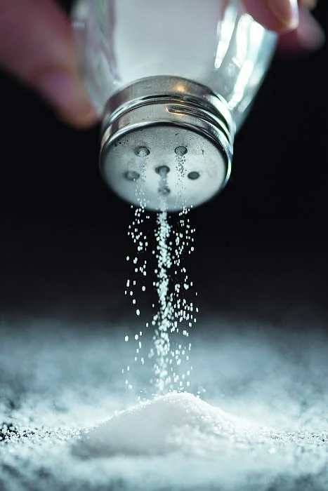 salt.3