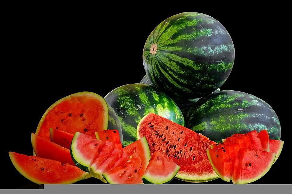 watermelon with seeds