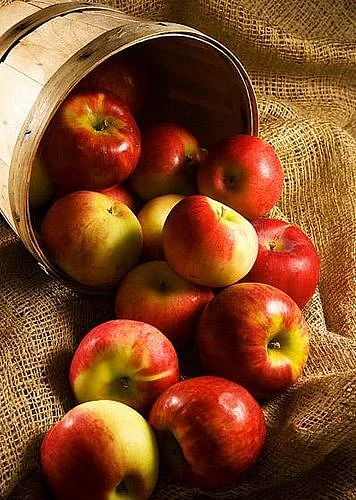 dried apples.1
