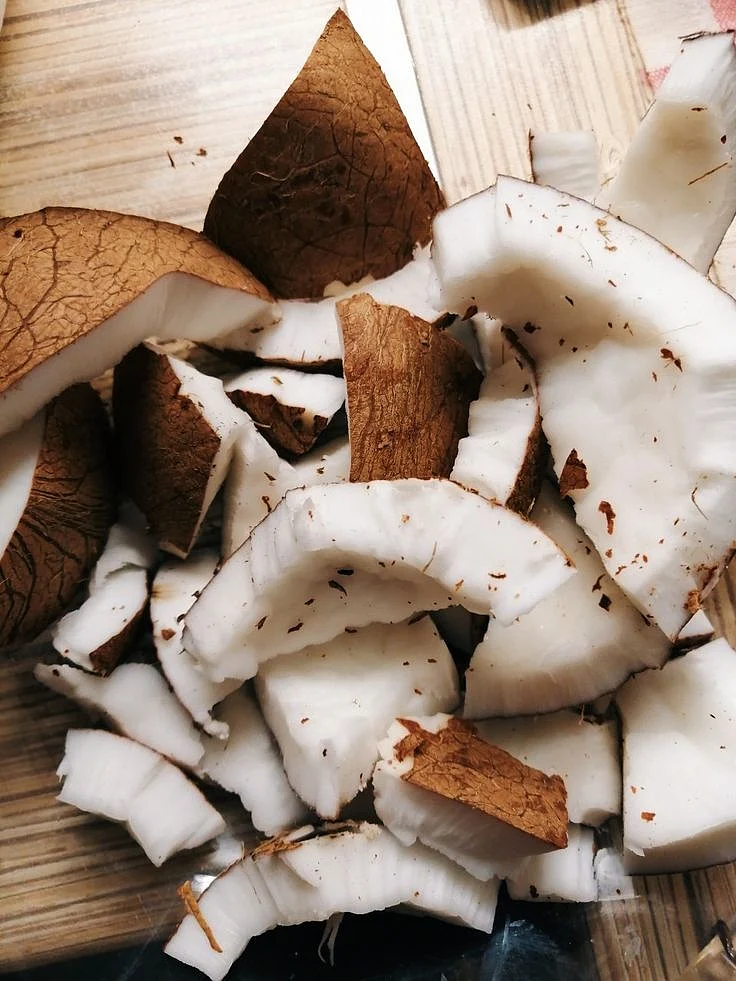 Coconut 1