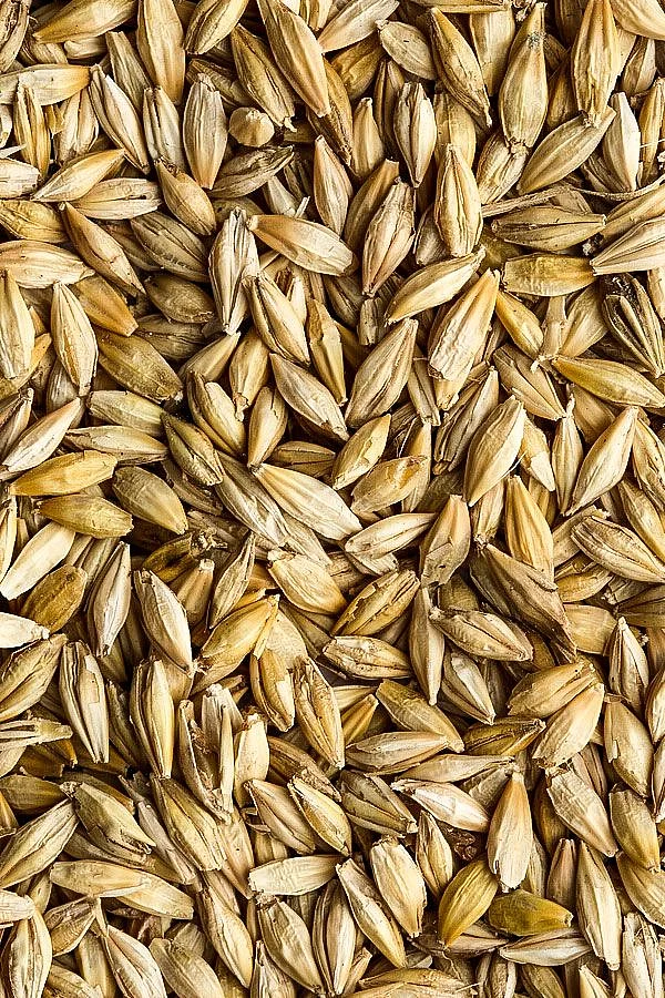 barley flour roti 2