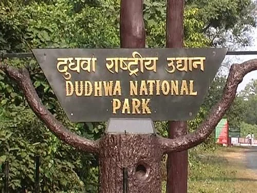 Dudhwa National Park