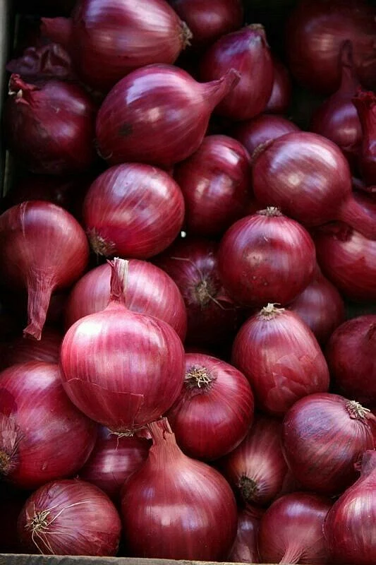onion