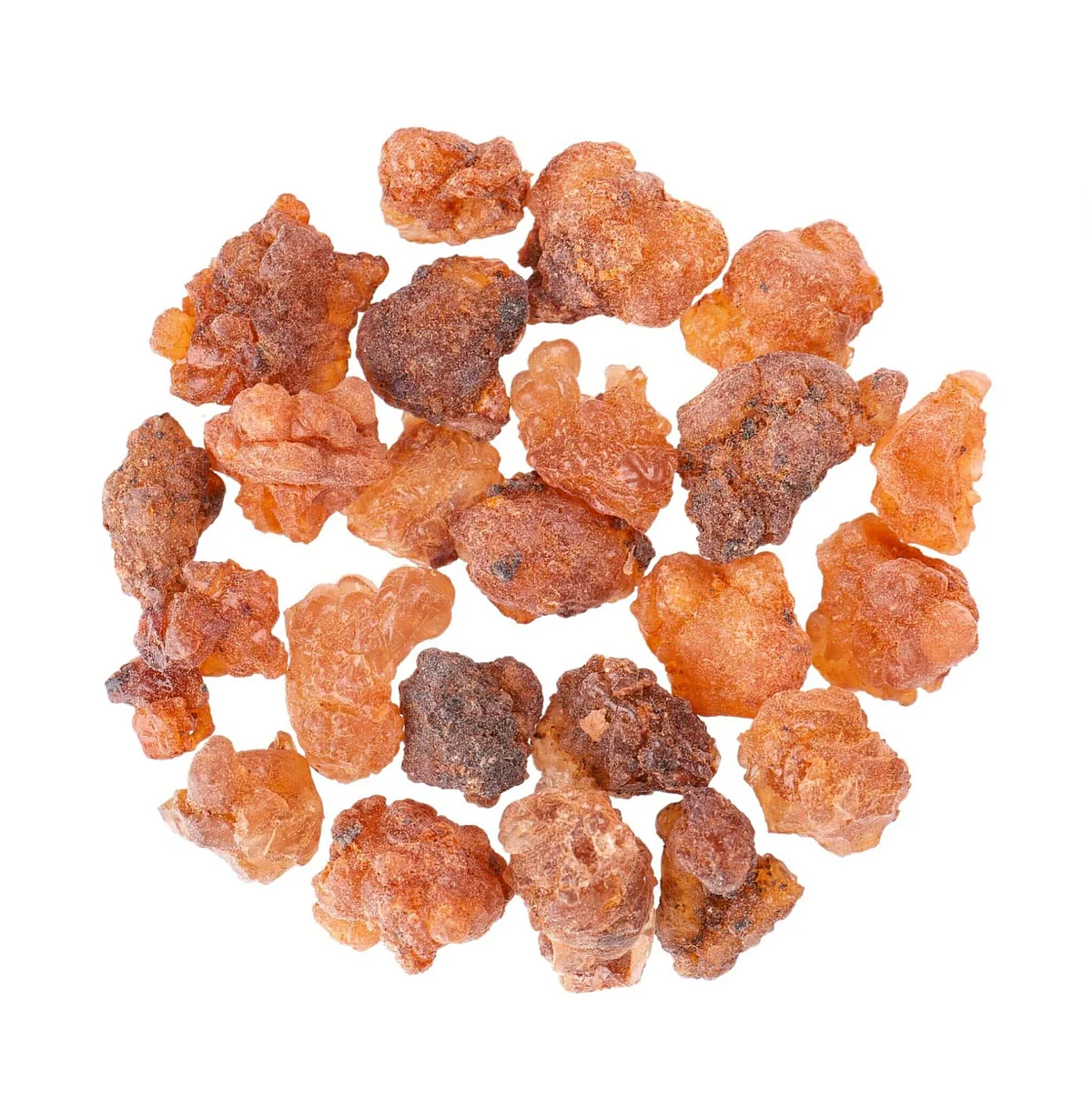 Guggul Extract Commiphora mukul scaled 1 scaled