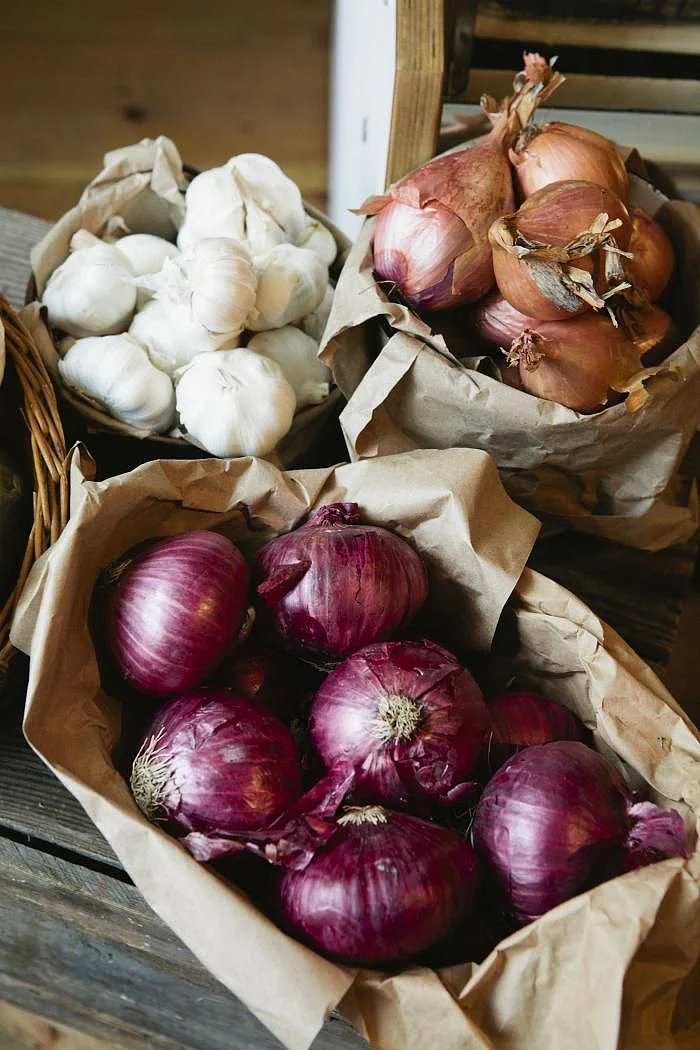 garlic onion